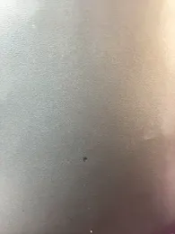 cristal_0381 webcam model stream image