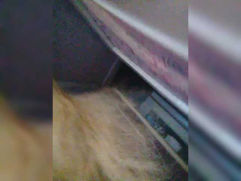 Victoria-sexi webcam model stream image