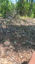 Laoquedad webcam model stream image