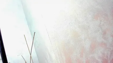 JuliaMario webcam model stream image