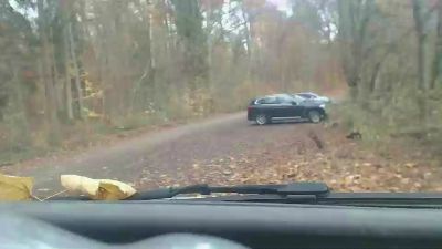 sissy7436 webcam model stream image