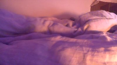 panpee1 webcam model stream image