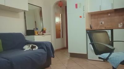 AriannaSecret webcam model stream image