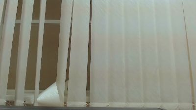 BonnieFox_ webcam model stream image