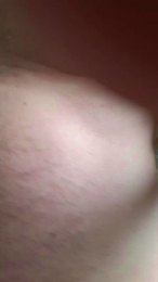 zippi2 webcam model stream image