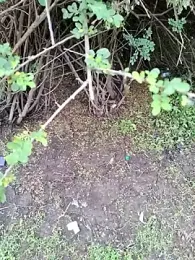 junedkhan99 webcam model stream image