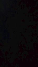 TORELLOSEXHOTS webcam model stream image