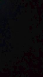 TORELLOSEXHOTS webcam model stream image