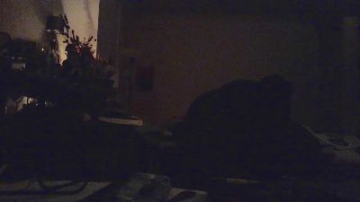 TouchControl webcam model stream image