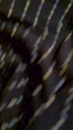 Falk1988 webcam cam4 model stream image