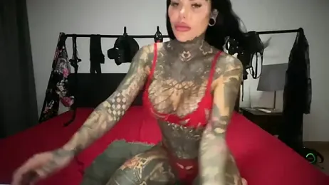 darkinkedbabe webcam model stream image