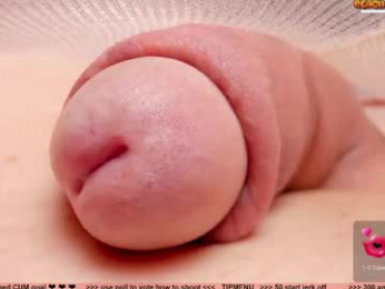 kpetra webcam model stream image