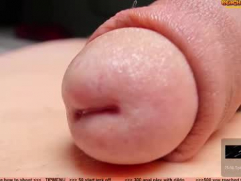 kpetra webcam model stream image