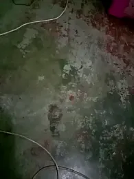 ShaniNsula2026 webcam model stream image