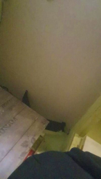 Tumorenitoo21 webcam model stream image