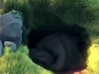 amandahugnkiss webcam model stream image