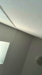 SoumisMaxLille webcam model stream image