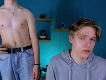 jax_telys webcam model stream image