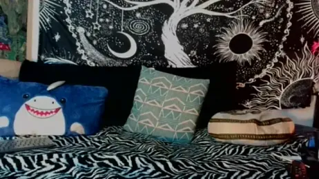 1jewel webcam model stream image