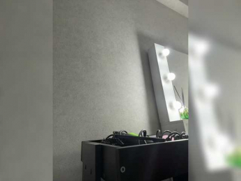 Narrri webcam model stream image