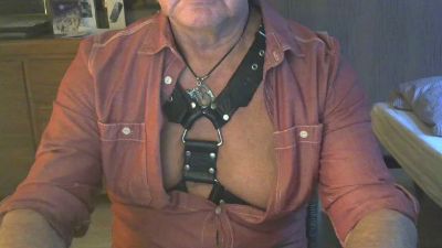 Longdorn webcam model stream image