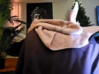 dickcums4hours webcam model stream image