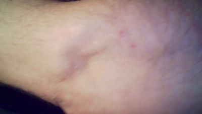 barblohe webcam model stream image