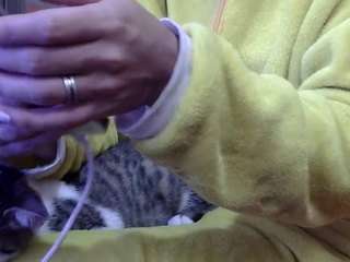 pamelapretty webcam model stream image