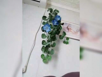 MerellinFicus webcam model stream image