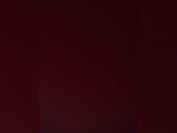 MokrayaSuchka webcam model stream image