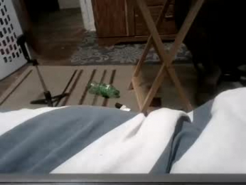 necolejordan08 webcam model stream image