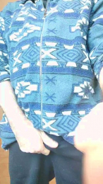 icar0 webcam model stream image