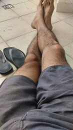 barbaro202 webcam model stream image