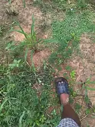 Gopal1243 webcam model stream image