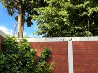 Angel Dee webcam model stream image