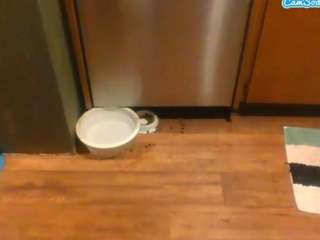 unbrella webcam model stream image