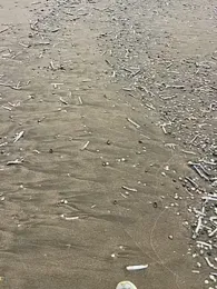 Mark3706 webcam model stream image