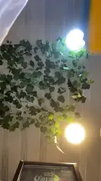 ANA_U webcam model stream image