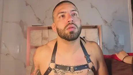 Lion_and_aria webcam stripchat model stream image