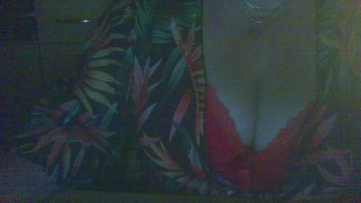 zaubermaus66 webcam model stream image