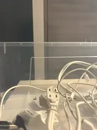 Brunettexio webcam model stream image