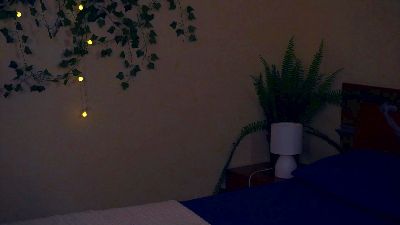 AftonFountain webcam model stream image