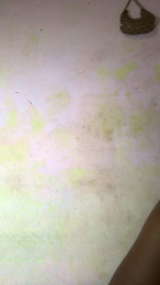 Armella2 webcam model stream image