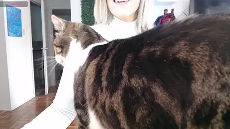 Vixen_Lockheart webcam model stream image