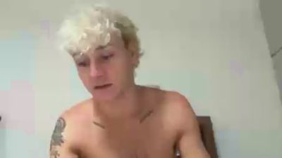 Roku webcam model stream image