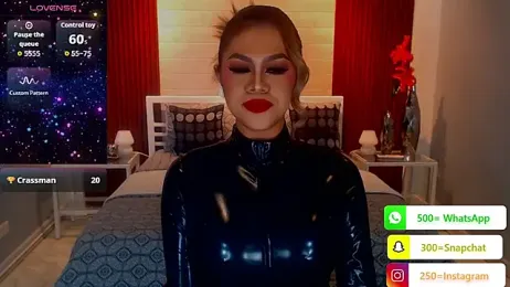 StellaStrong30 webcam model stream image