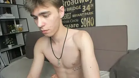 Shadow_blink webcam model stream image