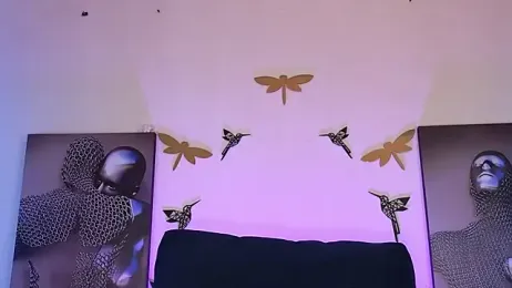 VikoHands webcam model stream image