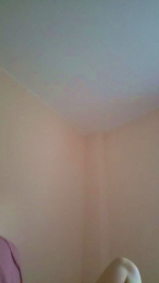 Sexycatgirl88 webcam model stream image