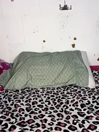 Molyjoliepetitte_245 webcam model stream image